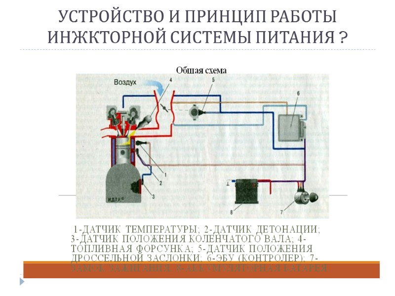 УСТРОЙСТВО И ПРИНЦИП РАБОТЫ ИНЖКТОРНОЙ СИСТЕМЫ ПИТАНИЯ ?